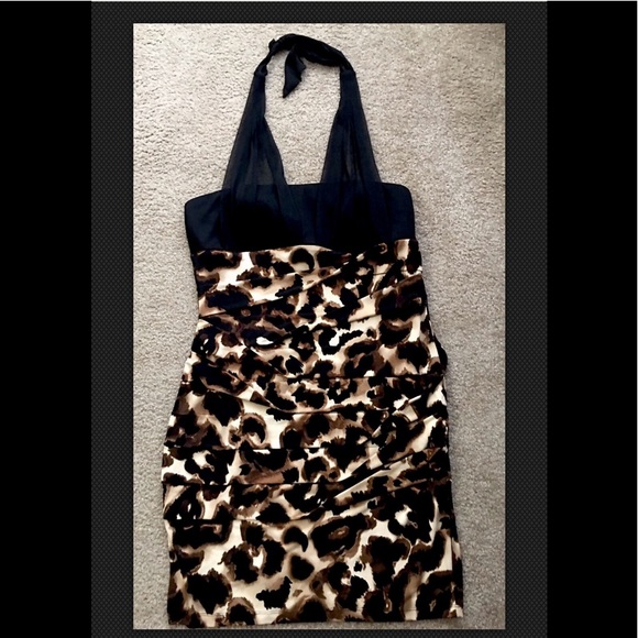 saint tropez leopard print dress